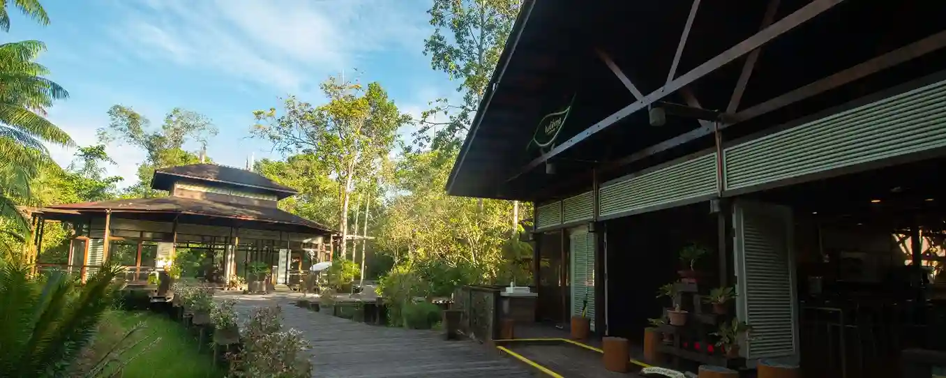 Malaysia The Jungles of Borneo